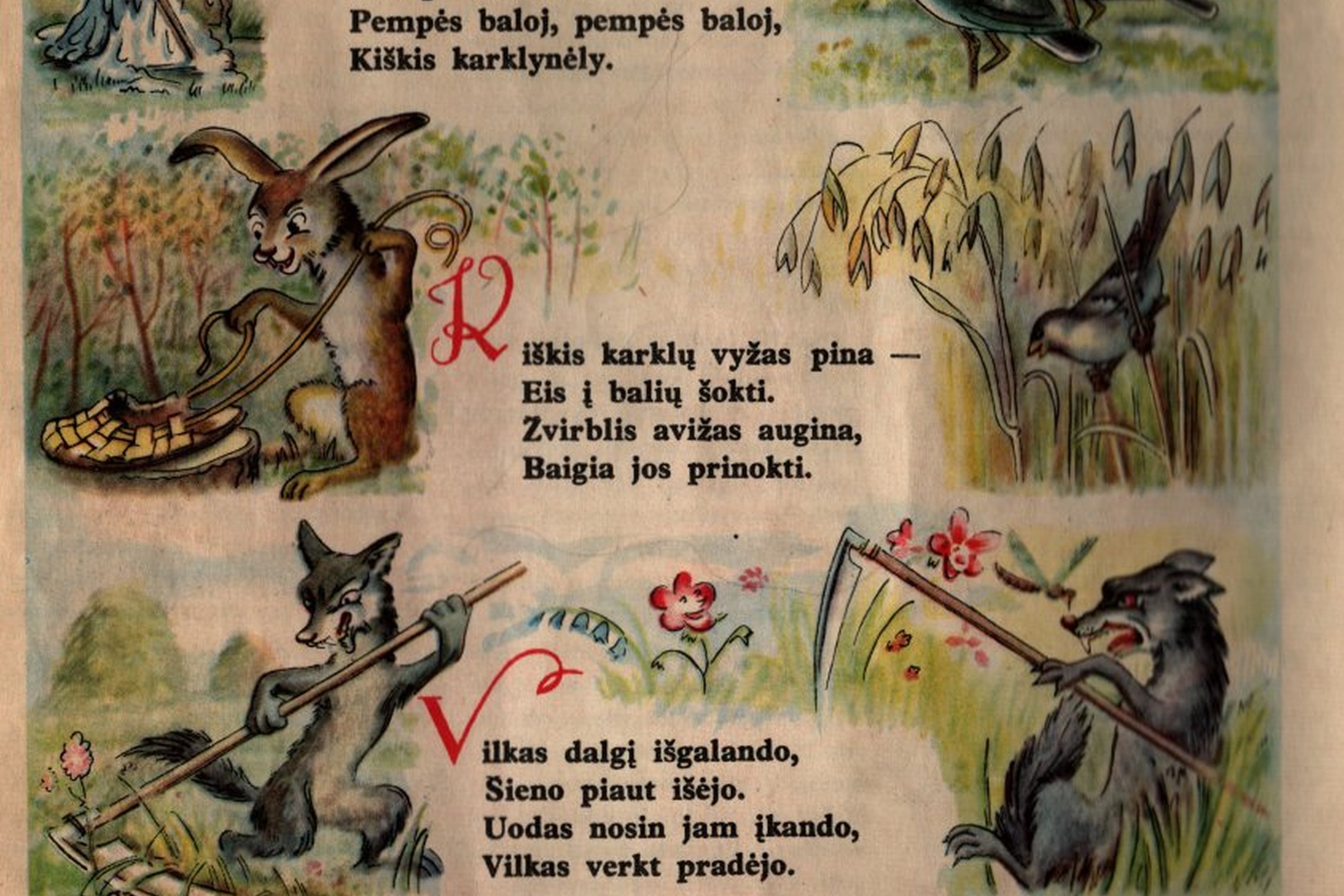 Iliustracija